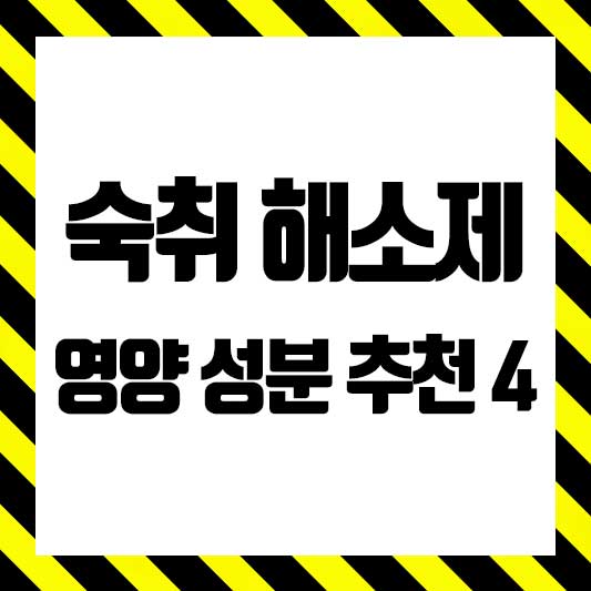 숙취 영양제 추천