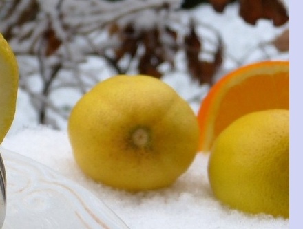 대상포진 초기증상