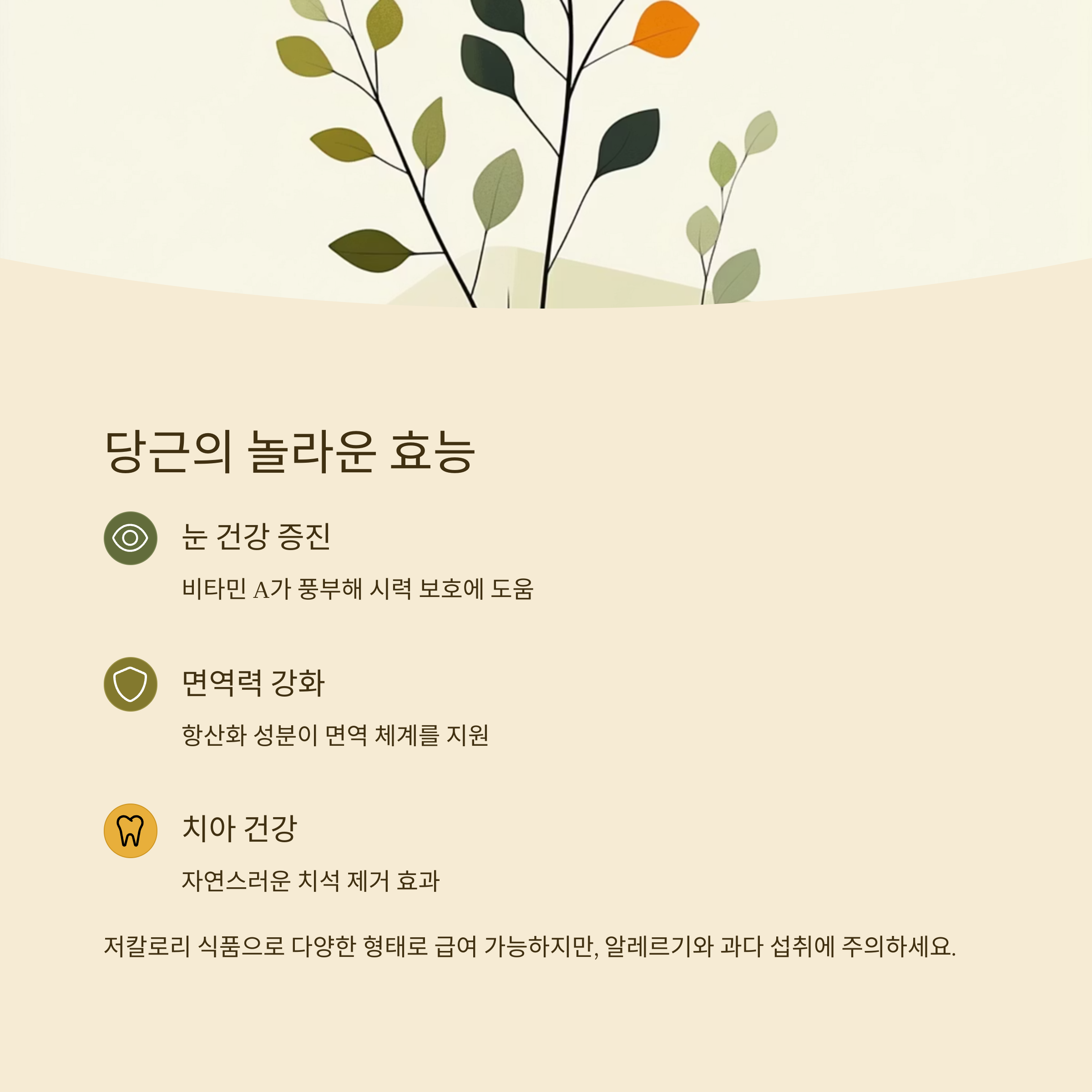 당근의 놀라운 효능