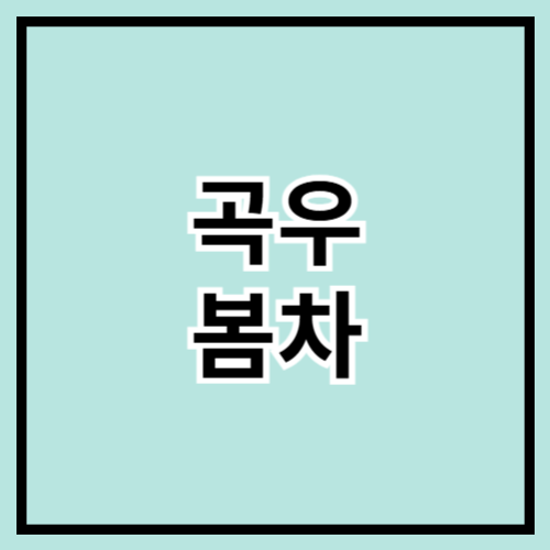🍵 곡우 맞이, 봄을 담은 차 추천 🌿✨