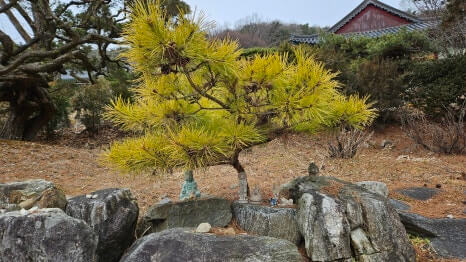 이천 영원사 : 원적산의 기운을 담은 천년 고찰 도심 인근에 숨은 조용한 산사