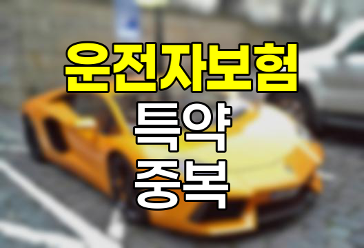 운전자보험과 자동차보험 특약의 미묘한 공존