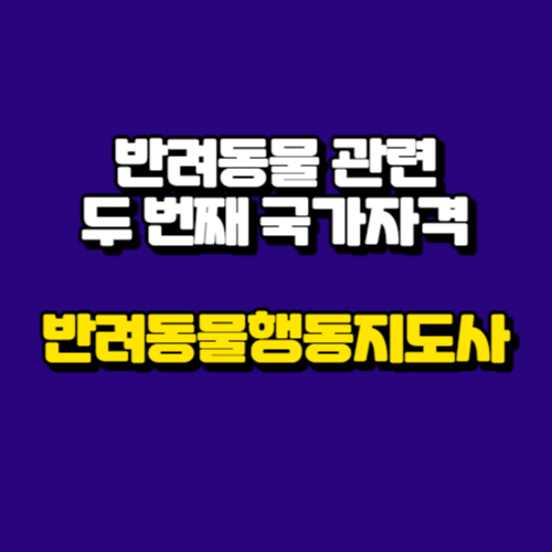 알트태그-반려동물 행동지도사 썸네일