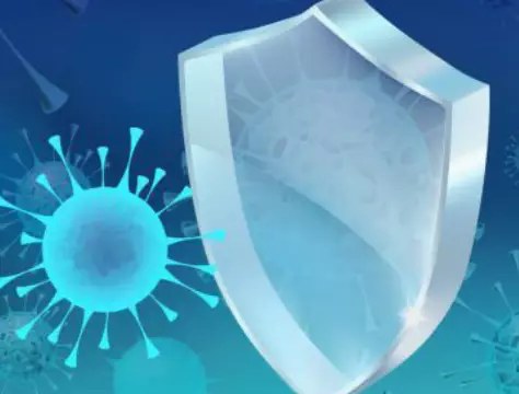 베타-시토스테롤-효능-부작용-건강