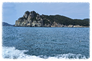 해금강