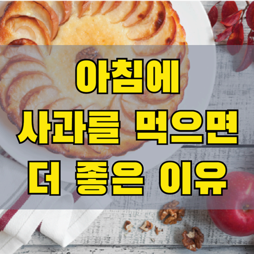 아침 사과 공복에 먹으면 더 좋은 이유
