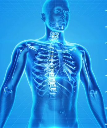 수능 컨디션 유지를 위한 영양제