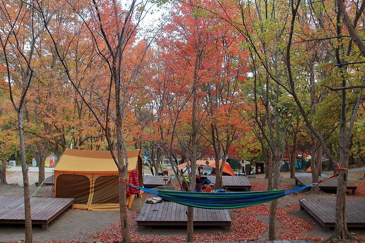 캠퍼의 성지 함허동천야영장 소개