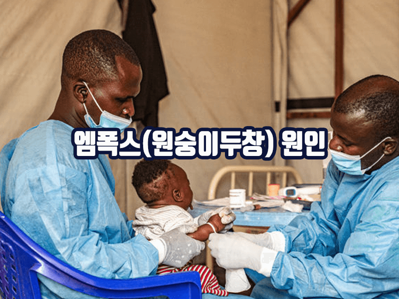 엠폭스(원숭이두창)의 원인 - 감염