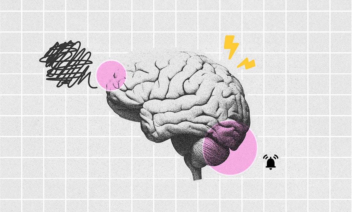 허준 시대 전염병 관리법&amp;#44; 동의보감이 전하는 면역과 격리의 과학