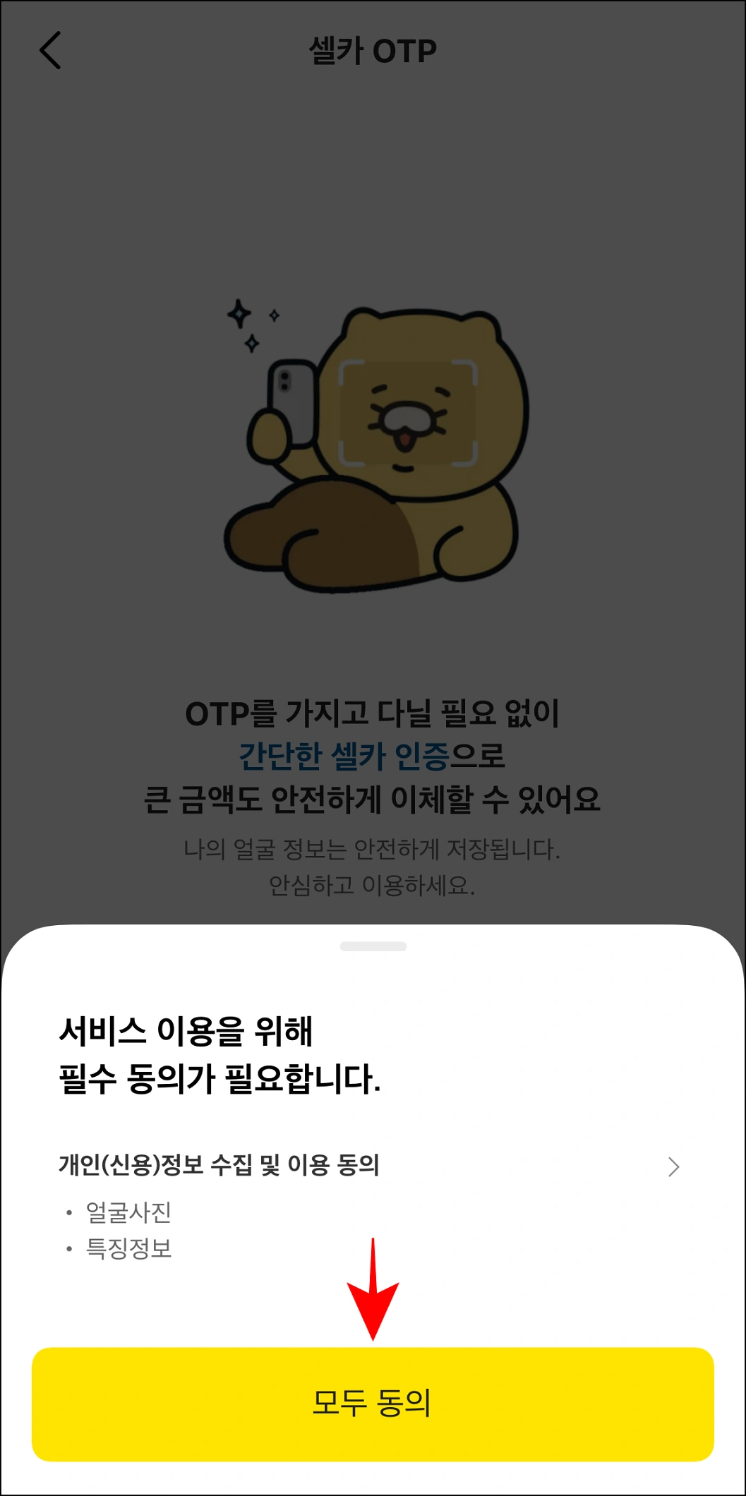 화면에 표시된 메시지의 '모두 동의'를 선택하여 서비스 이용을 위한 필수 항목에 동의