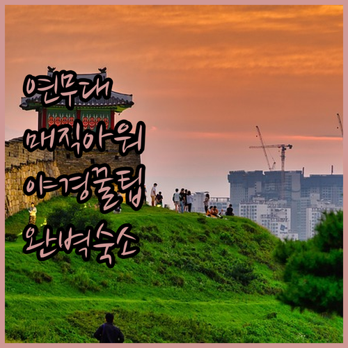 수원 연무대 매직아워 야경 촬영 팁과..