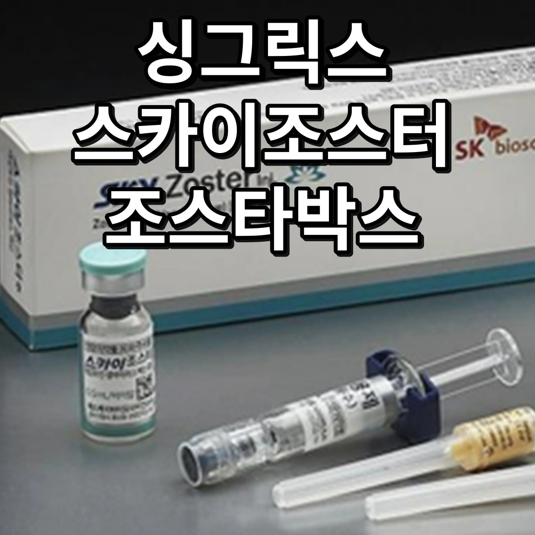 싱그릭스 스카이조스터 조스타박스
