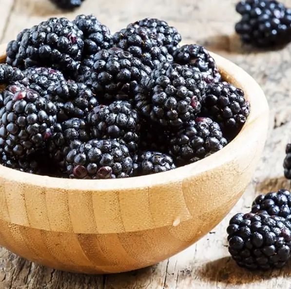 오디 부작용 및 주의사항