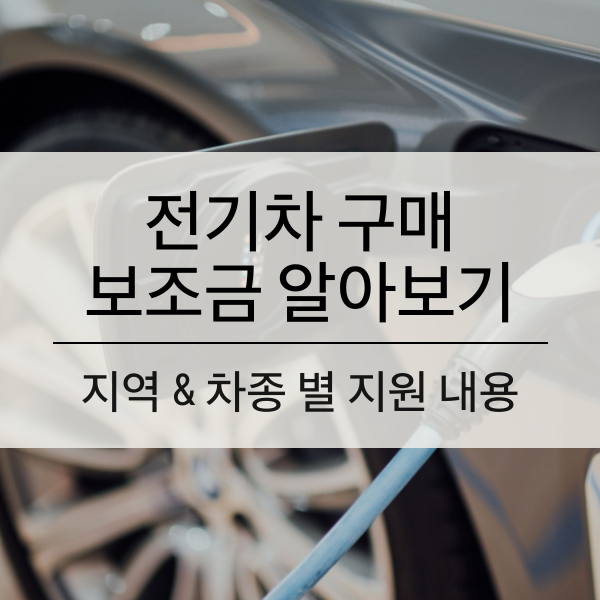 전기차 구매 보조금 알아보기 & 아이오닉5 구매 주의 사항