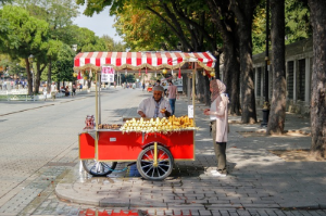 개인사업자 4대 보험 가입과 정지 , 알아야 할 모든 것