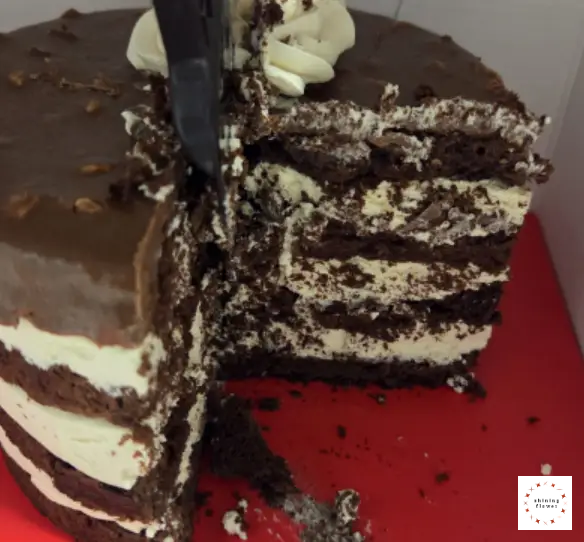 브라우니루돌프 전체 절단면 사진