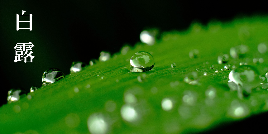 계절의 변화를 세분화한 24 절기 중 '백로' 이해하기