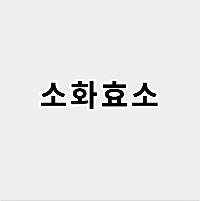 소화효소