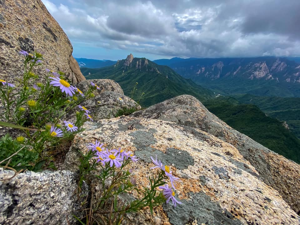 설악 국제 트레킹