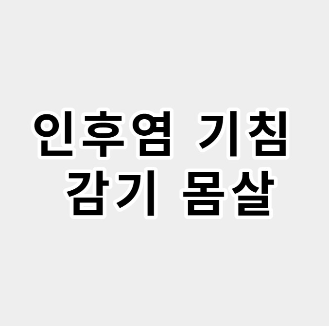 인후염 기침 감기 몸살