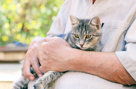 안고 있는 고양이.