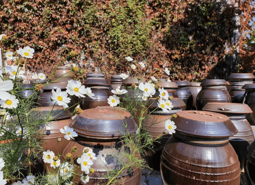 μ¨λ΄μλ¬Όμ-κ°€λ¬λ¦¬