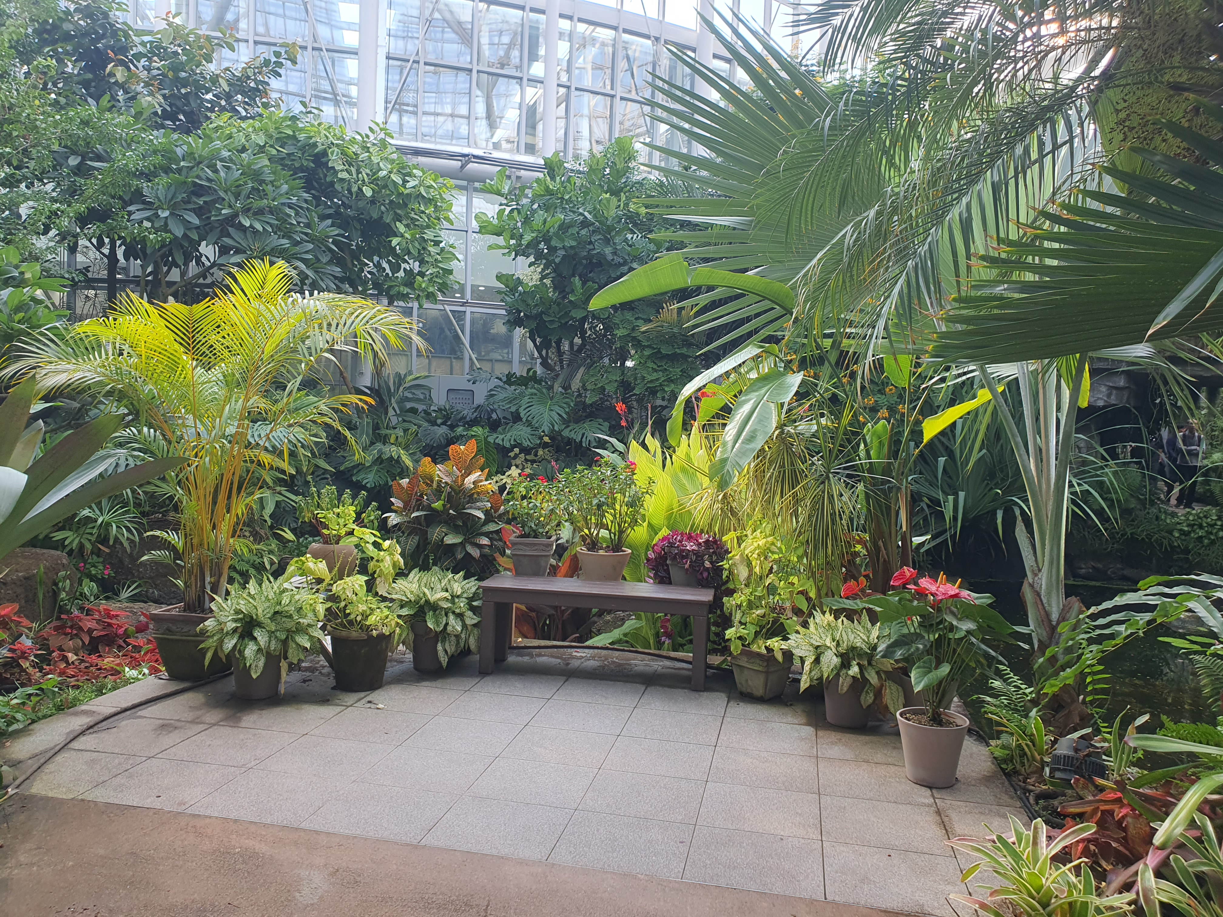 국립세종수목원 이용 안내 추천 코스 주제 전시원