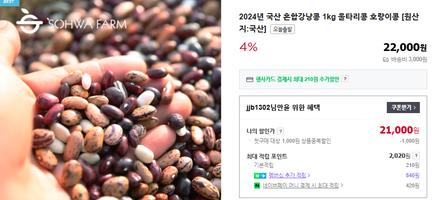 강낭콩 6가지 효능 및 파종시기 (+ 재배 방법 조림 레시피 보관법)