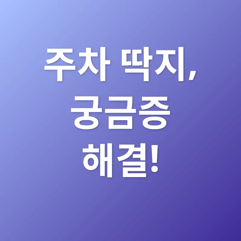 주정차 위반 과태료_4