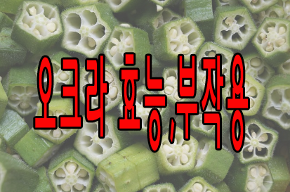 오크라 효능, 부작용