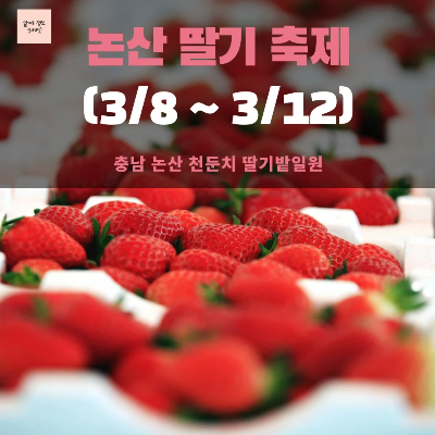 전국 봄 축제 가볼만한 곳 BEST 5 (3월)