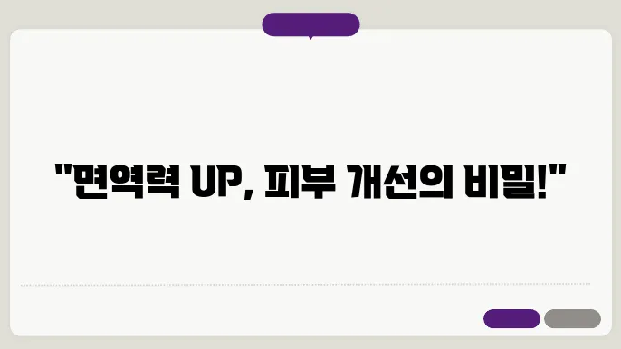 아연질유산균