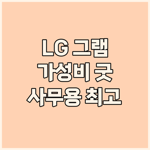 LG 그램 14Z960: 가성비 노트..