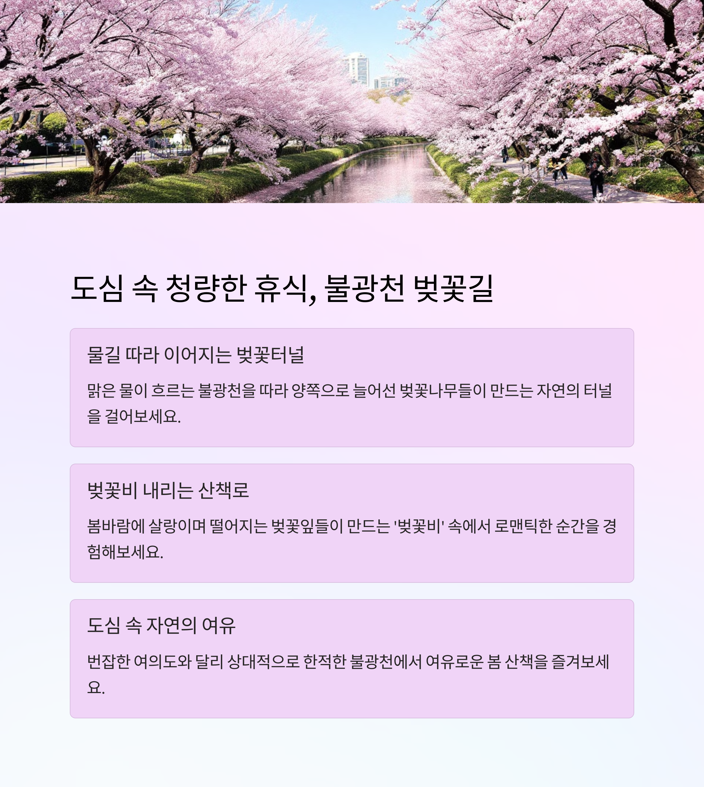 서울 수도권 숨은 벚꽃 명소 TOP 5