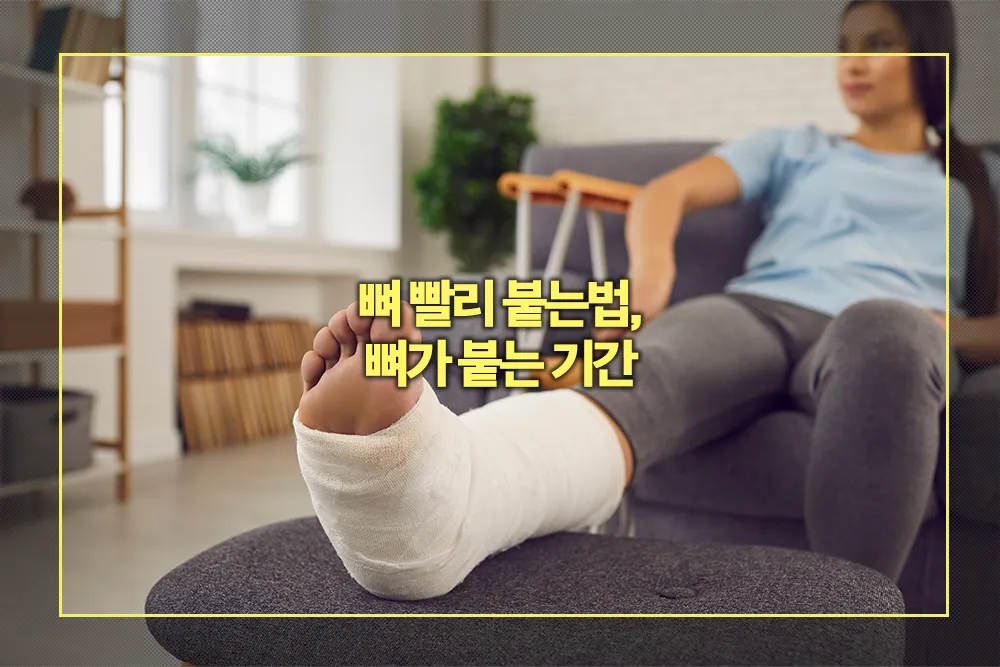 뼈 빨리 붙는법 뼈가 붙는 기간