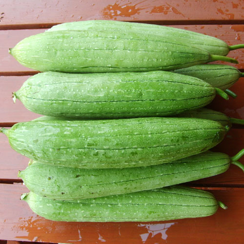 수세미박 효능 및 부작용