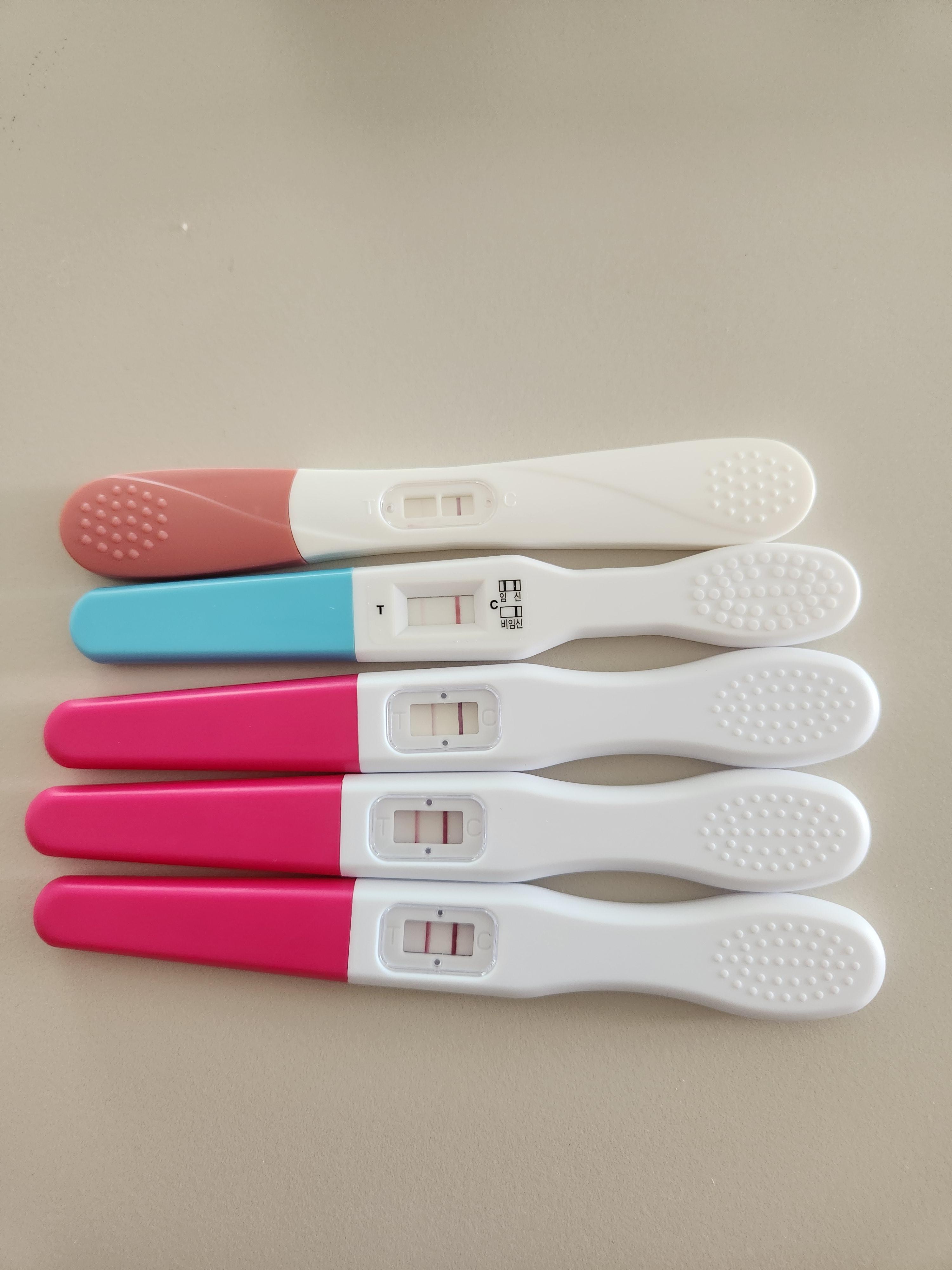 임신테스트기 원포패스터 얼리임신테스트기, 원포 얼리임신테스트기 센스데이 얼리 임신테스트기