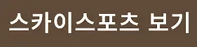 스카이스포츠
