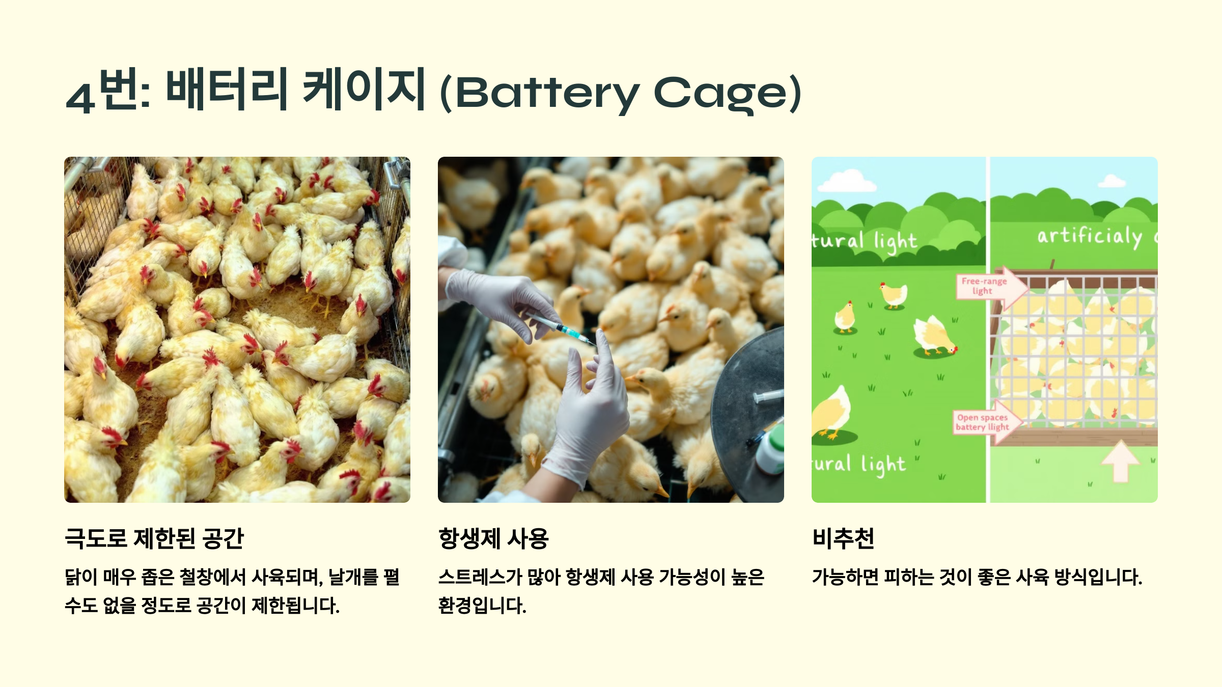 배터리 케이지