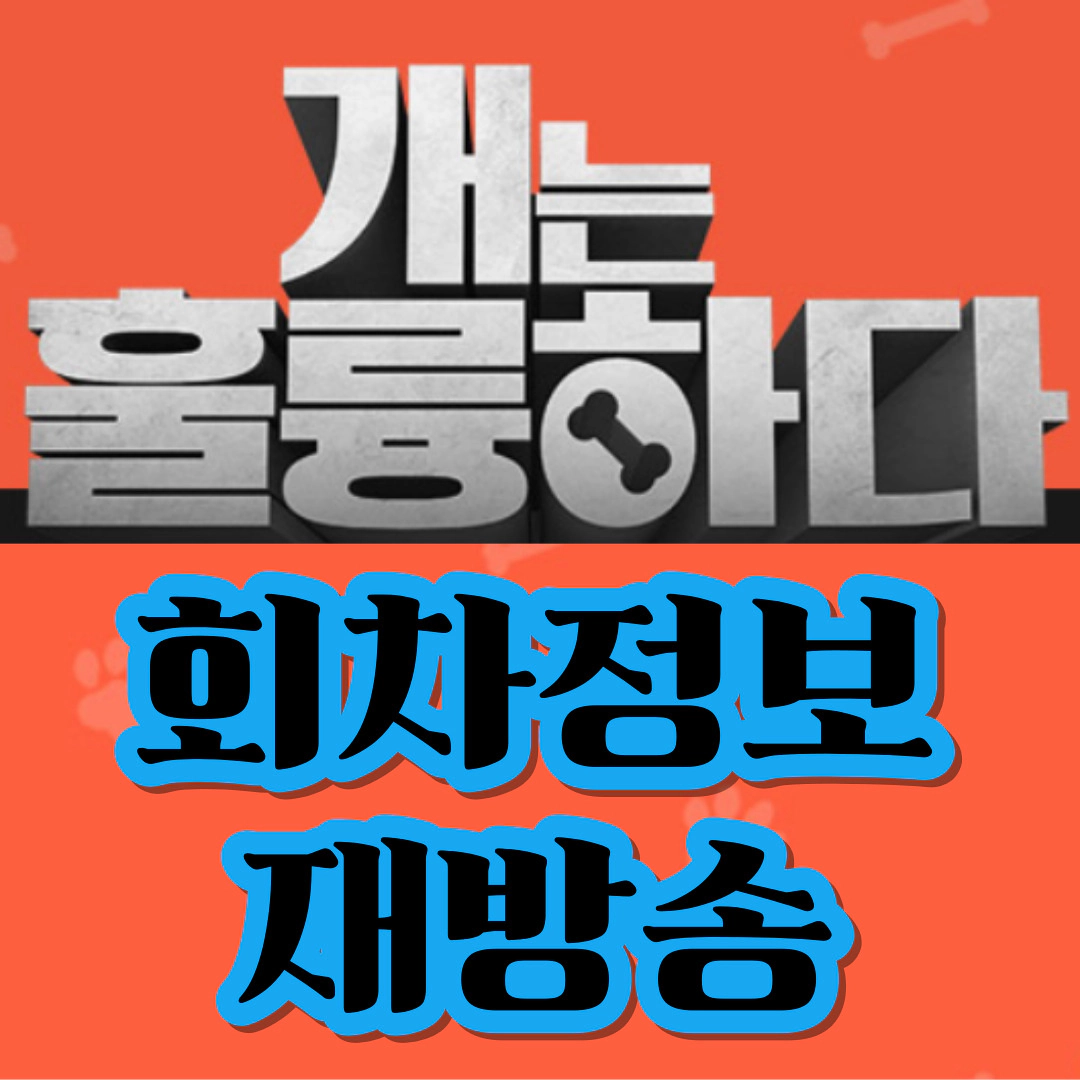 개는 훌륭하다 회차정보-재방송-공식영상