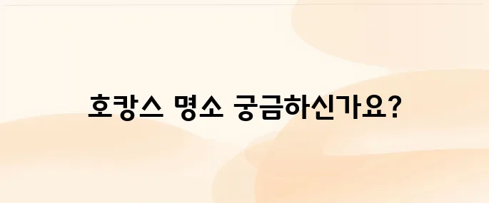 서울에서 가성비 좋은 호캉스 호텔 추천