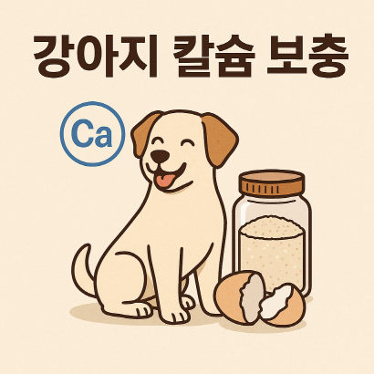 강아지 칼슘 보충, 계란껍데기