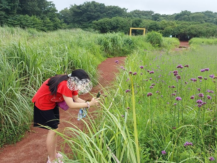 에코랜드 테마파크