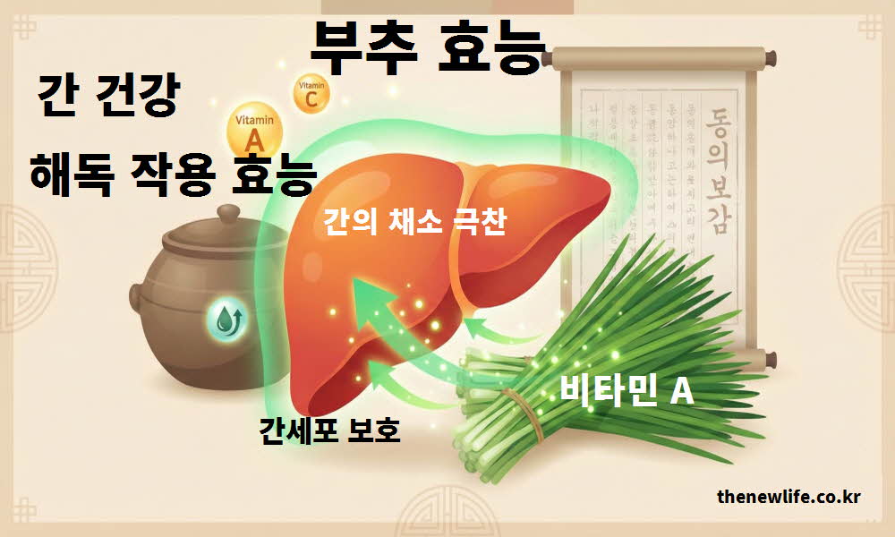 부추 효능 간 건강 해독 작용