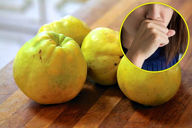 기침 빨리 낫는법,기침 멈추는데 좋은 음식 모과,건강