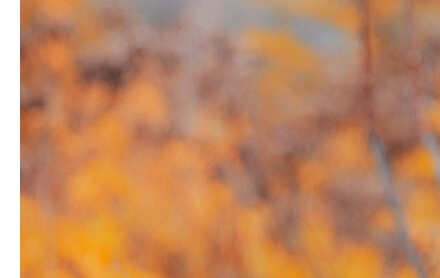 근로자휴가지원