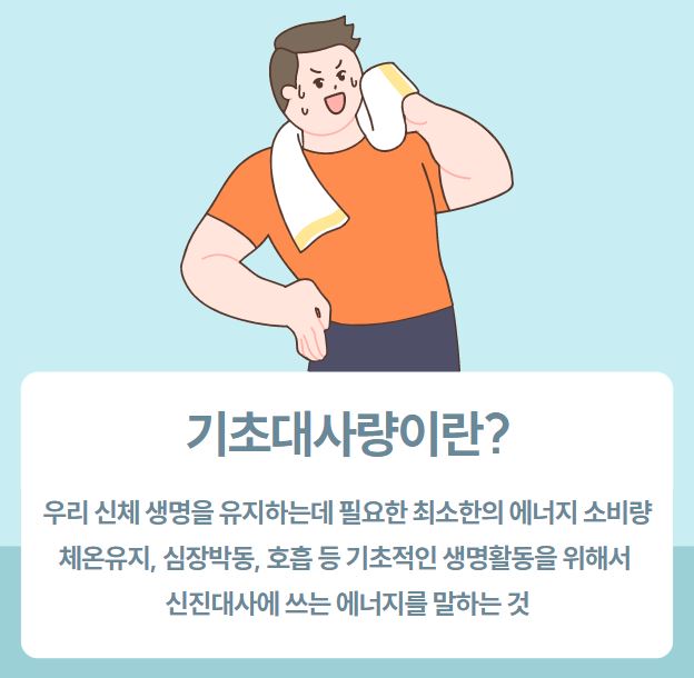 기초대사량 계산기