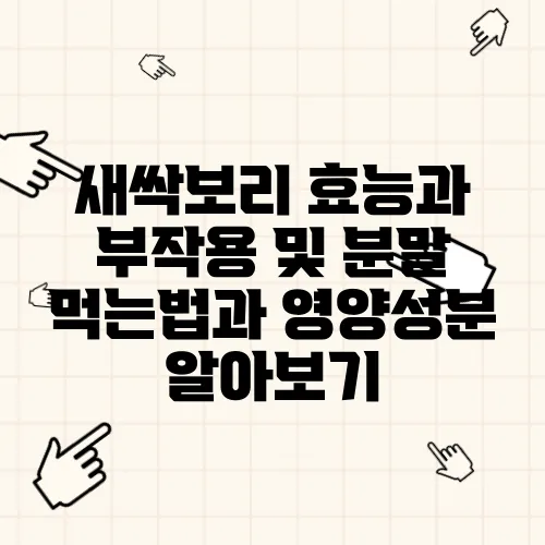 새싹보리 효능과 부작용 및 분말 먹는법과 영양성분 알아보기