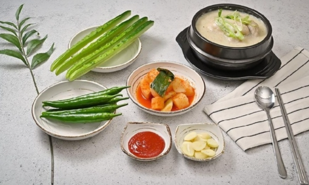 생생 정보통 삼계탕 BEST5